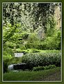 Picture Title - Oasi di Ninfa