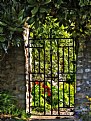Picture Title - Country Garden Gate