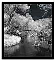 Picture Title - Fossil Creek Blk wht IR