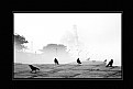 Picture Title - Misty TAJ