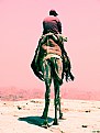 Picture Title - Looking At The Fuckin City