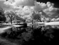 Picture Title - Bandstand Reflections