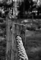 Picture Title - Rope