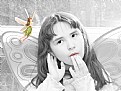 Picture Title - Faeries
