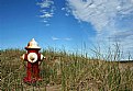 Picture Title - Lonely Hydrant