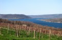 Picture Title - Keuka Lake