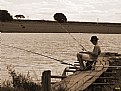 Picture Title - Pescando