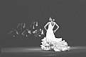 Picture Title - Flamenco!  2