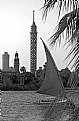 Picture Title - memory