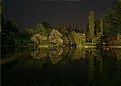 Picture Title - Night in the park