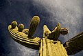 Picture Title - cactus from under