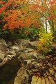 Picture Title - Autumn in New England