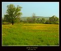 Picture Title - Spring in Istanbul