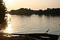 Picture Title - Heron at Sunset