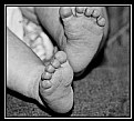 Picture Title - Ten Tiny Toes