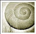 Picture Title - Concentric