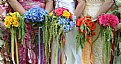 Picture Title - Boquets