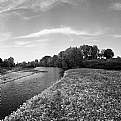 Picture Title - il fiume di Lucca #18