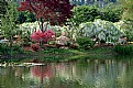 Picture Title - Ashikaga Flower Park