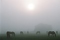 Picture Title - Sunrise on the Ranch