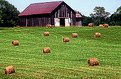 Picture Title - ROLLS OF HAY