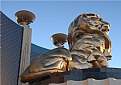 Picture Title - MGM Grand Lion - Sunset