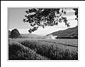 Picture Title - Rural (0280)