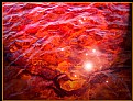 Picture Title - Red Sea