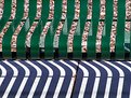 Picture Title - green bench