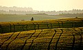 Picture Title - Tuscany sunset