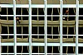 Picture Title - Window Washers #2