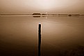 Picture Title - In The middle of the water