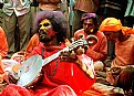 Picture Title - The Performer