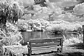 Picture Title - bench in mono