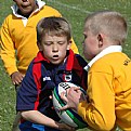 Picture Title - Rugby 2