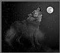 Picture Title - The Spirit of The Wolf