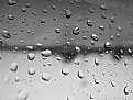 Picture Title - In the Rain 1