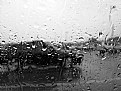 Picture Title - In the Rain 3