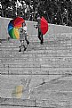 Picture Title - Colour rain day