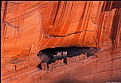 Picture Title - Canyon de Chelly IV
