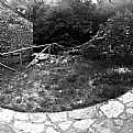 Picture Title - in montagna#9