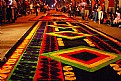 Picture Title - Street carpets