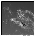 Picture Title - Flying through a cloud