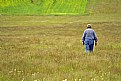 Picture Title - A man and the green