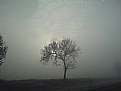 Picture Title - Lost in a fog