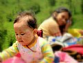Picture Title - Two generations----Two ways_2
