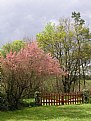 Picture Title - Spring Colors