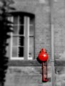 Picture Title - Red Alarm