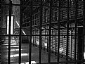 Picture Title - Through The Bars