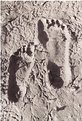 Picture Title - Muddy Feet